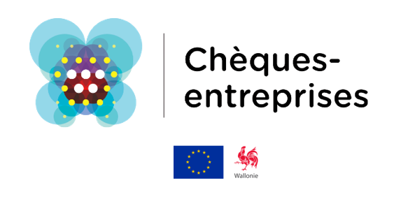 Belgique : Le Chèque Maturité Numérique (Wallonie) Artboard 1